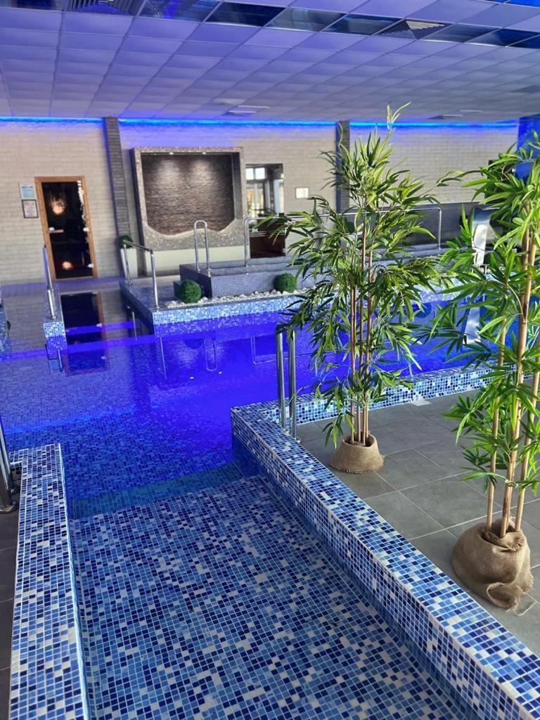 "Poseidon" Centar Aparthotel Stari Banovci Екстериор снимка
